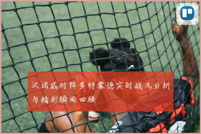 汉诺威对阵多特蒙德实时战况分析与精彩瞬间回顾