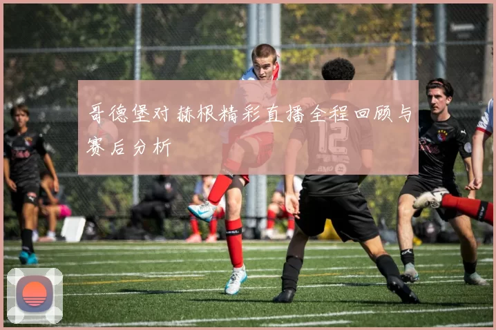 哥德堡对赫根精彩直播全程回顾与赛后分析
