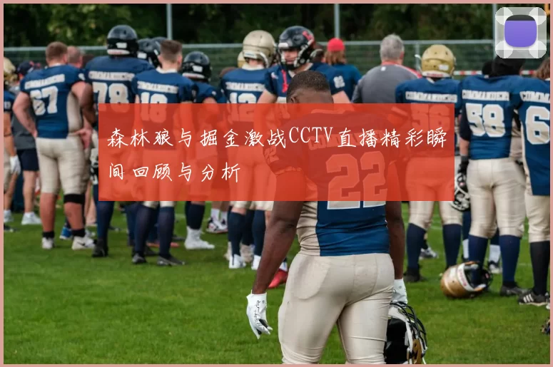 森林狼与掘金激战CCTV直播精彩瞬间回顾与分析