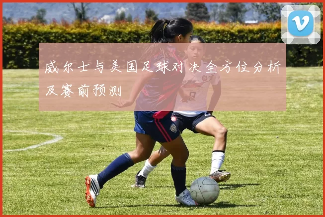 威尔士与美国足球对决全方位分析及赛前预测