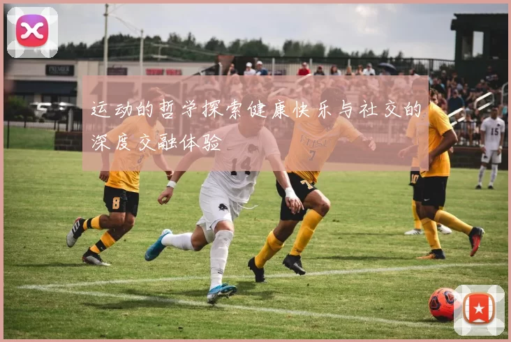 运动的哲学探索健康快乐与社交的深度交融体验