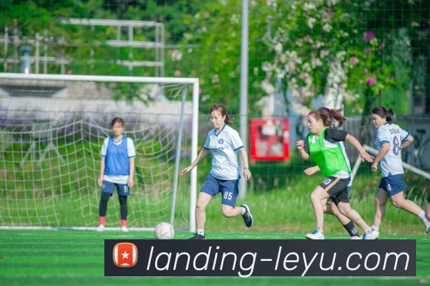 leyu.com发展历程